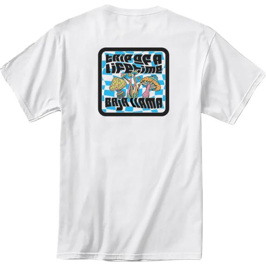 Baja Llama Men's A Trip Of A Lifetime - White Primo Graphic Tee In White