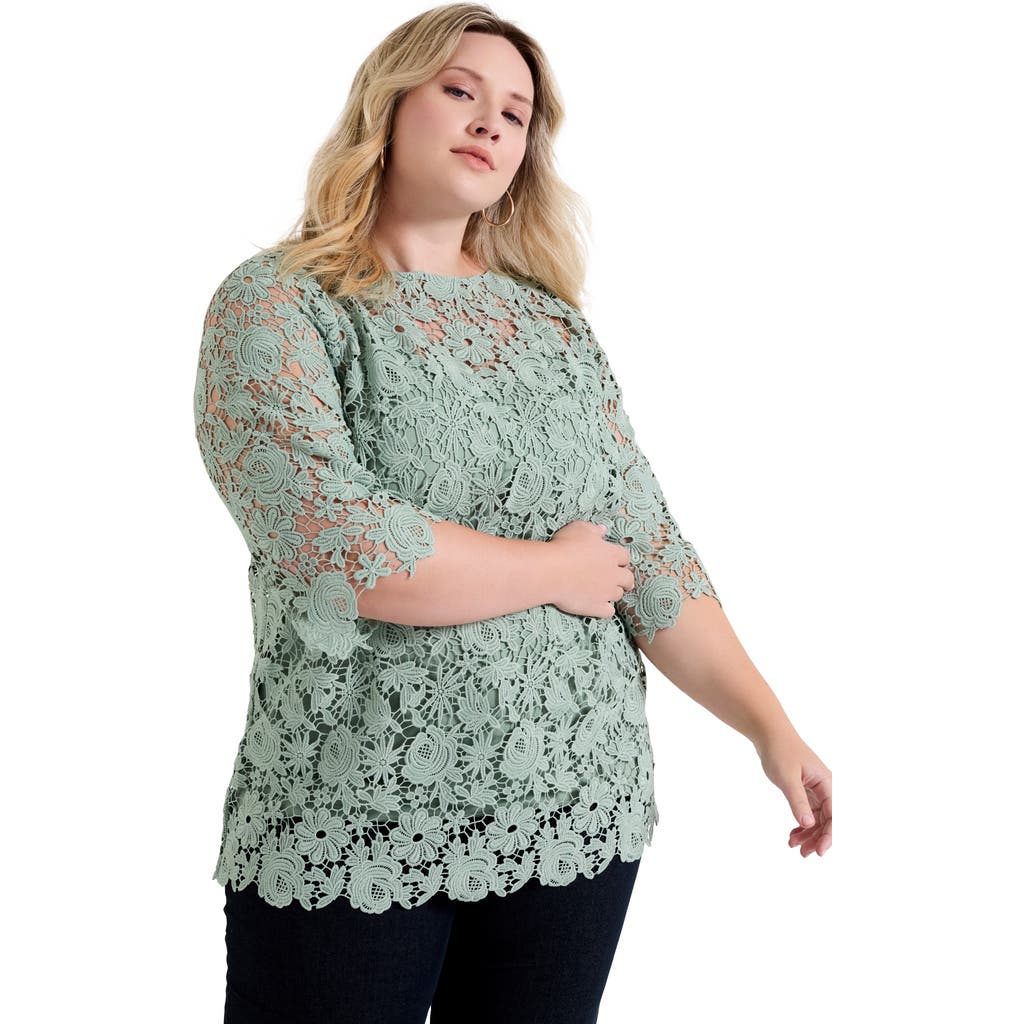 June + Vie Allover Lace Top In Green