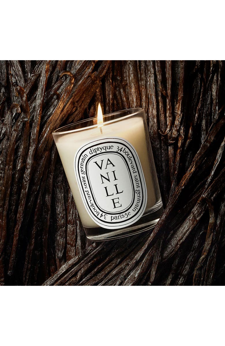Diptyque Vanille (Vanilla) Scented Candle, Alternate, color,