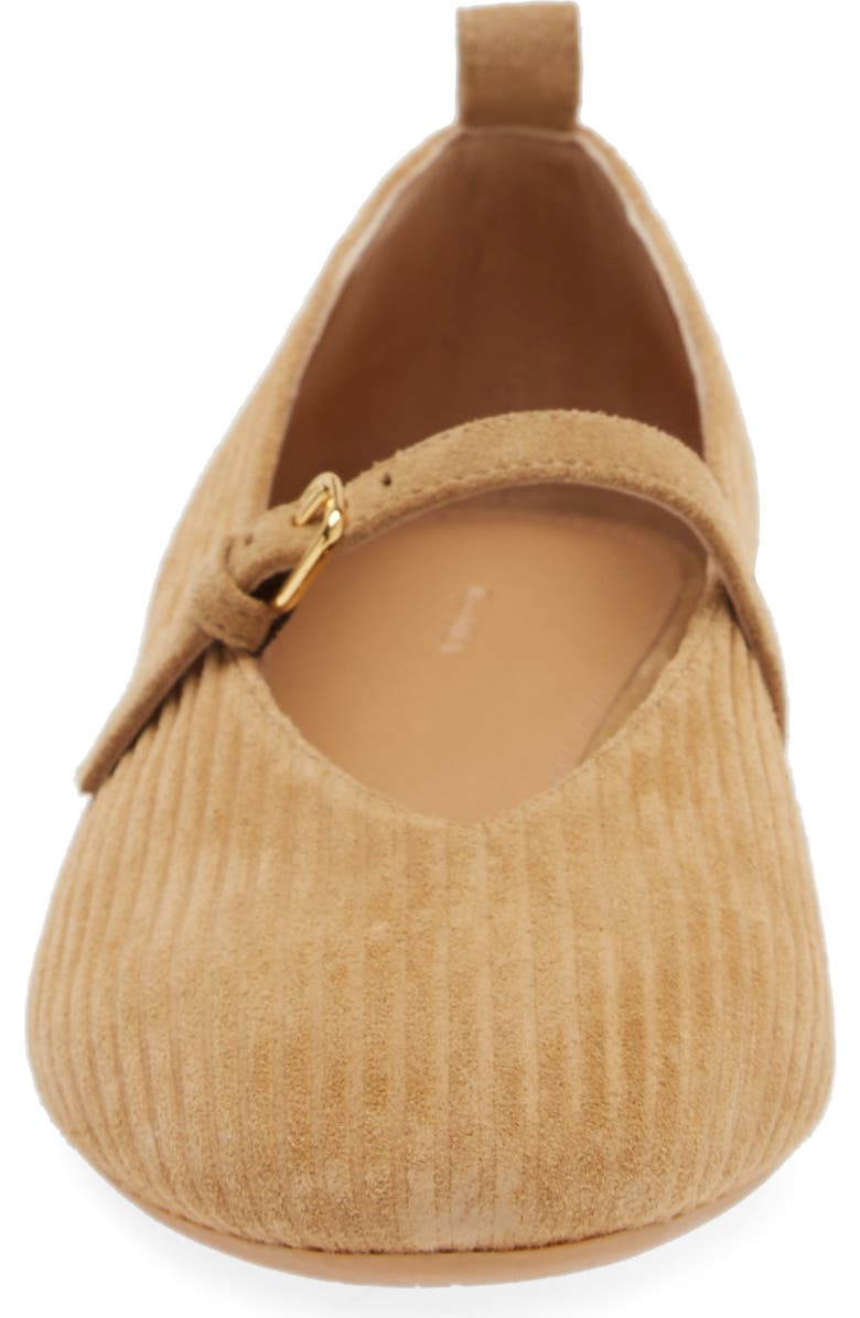 JW Anderson Suede Mary Jane Flat, Alternate, color,