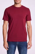 PAISLEY & GRAY Lucas Crewneck T-Shirt