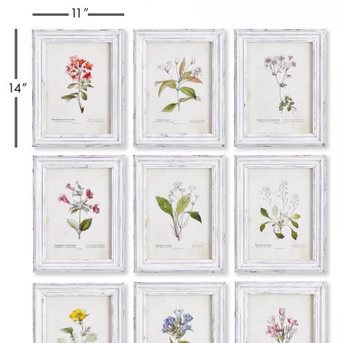 Napa Home & Garden Garden Meadow Study Set Of 9 In Multi