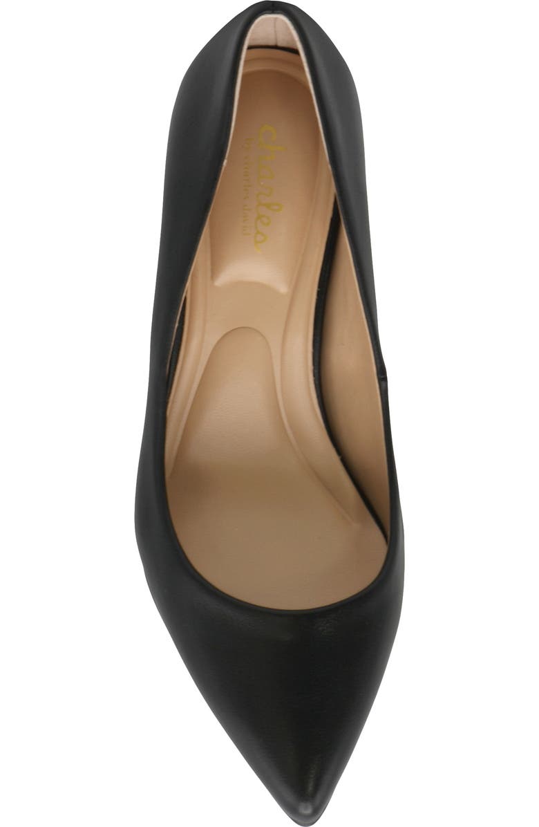 Charles by Charles David Sublime Pointed Toe Pump, Alternate, color,