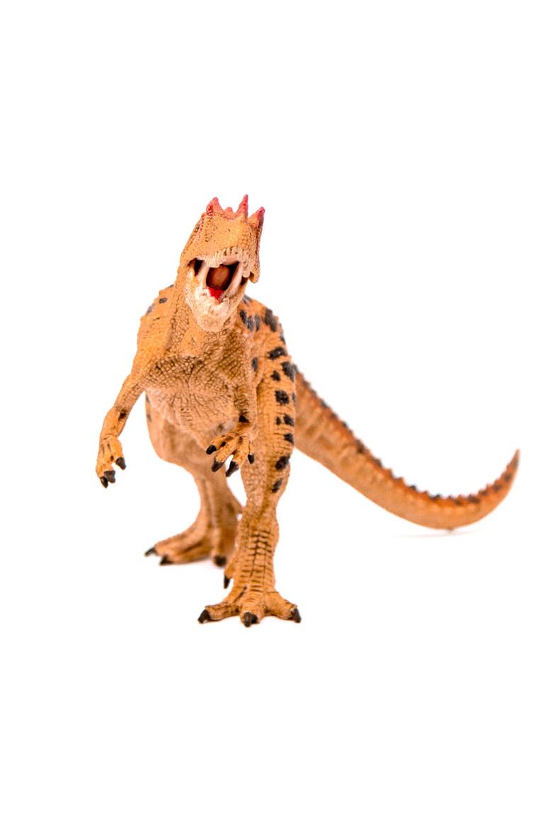 Ceratosaurus Dinosaur Action Figure, Ages 4+, Alternate, color, Multicolored