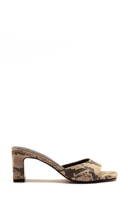 Off The Hook London Park Block Heel Sandal In Animal Print
