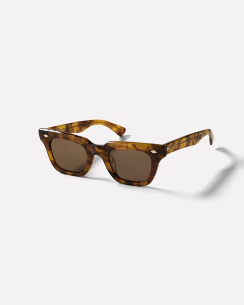 Epokhe Stereo Sunglasses In Brown