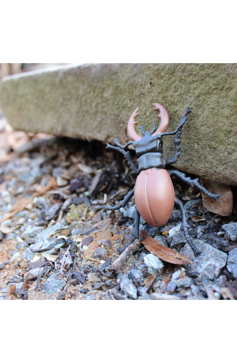 Safari Ltd. Life Cycle Of A Stag Beetle, Alternate, color, NO COLOR