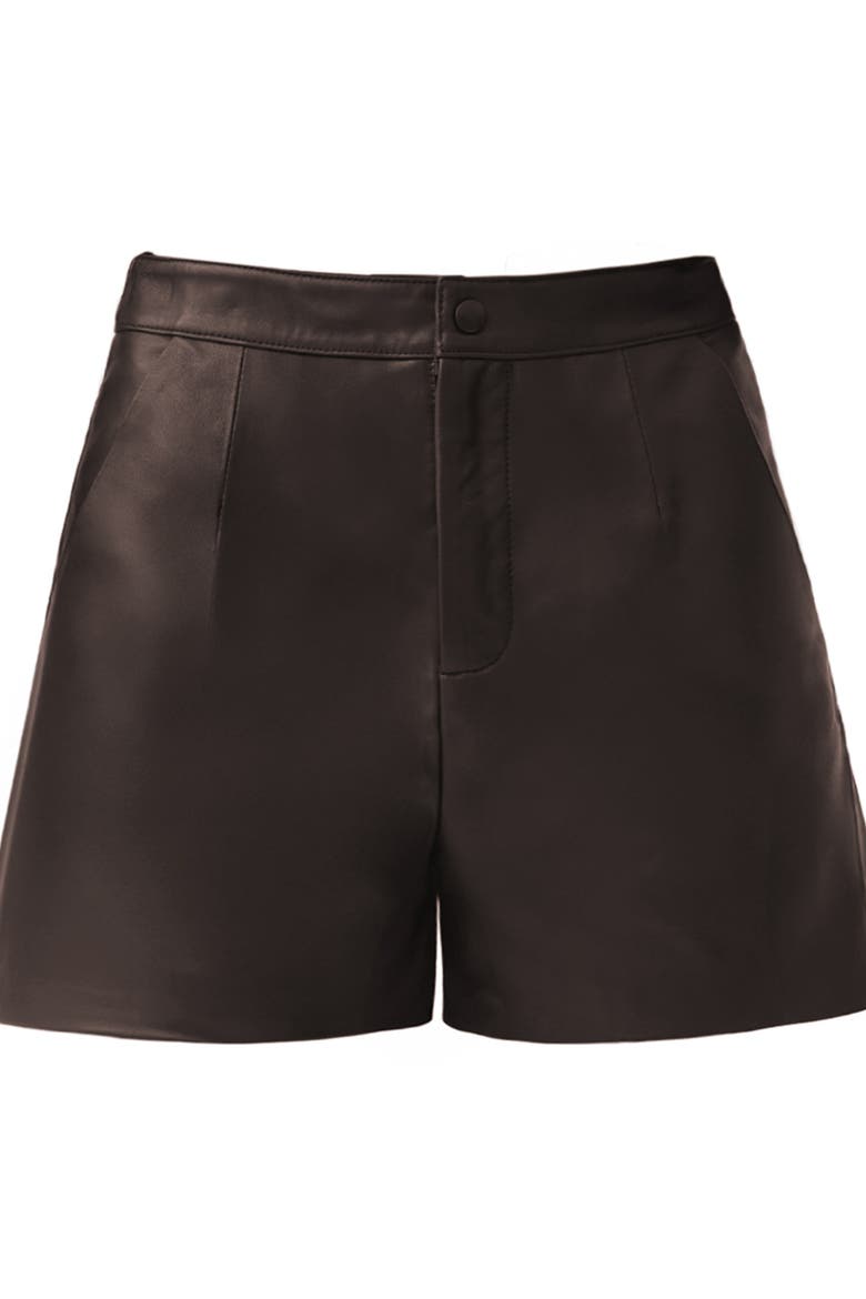 Wren Short Leather Pants, Alternate, color, Brown
