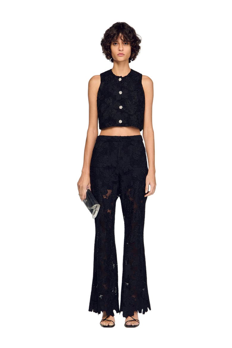 Embroidered guipure crop top, Alternate, color, Black