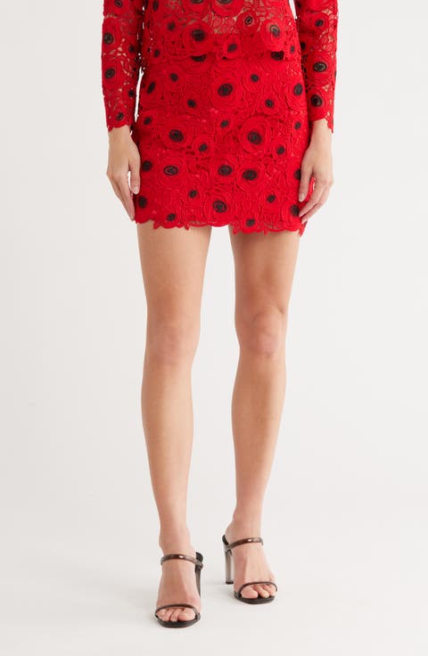 Embroidered Lace Miniskirt