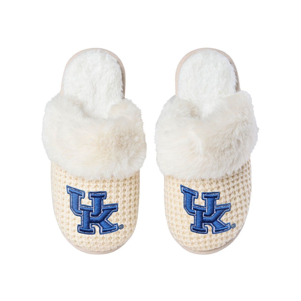 FOCO Women's FOCO Kentucky Wildcats Open Back Slippers, Main, color, 