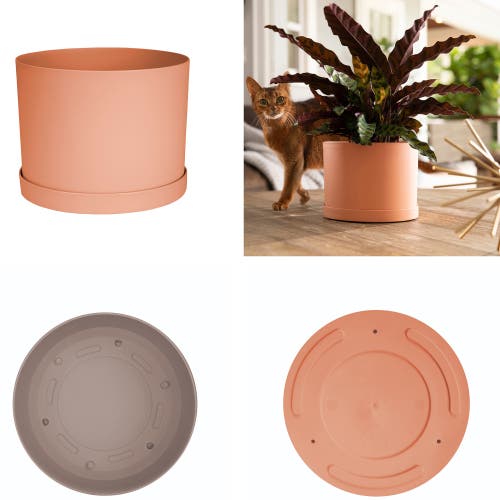Bloem Mathers 6.5w X 8.5"h Gardening Planter With Saucer Tray, Muted Terra Cotta In Orange