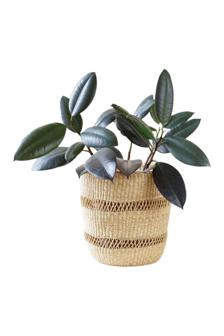 Bolga Planter, Main, color, Natural