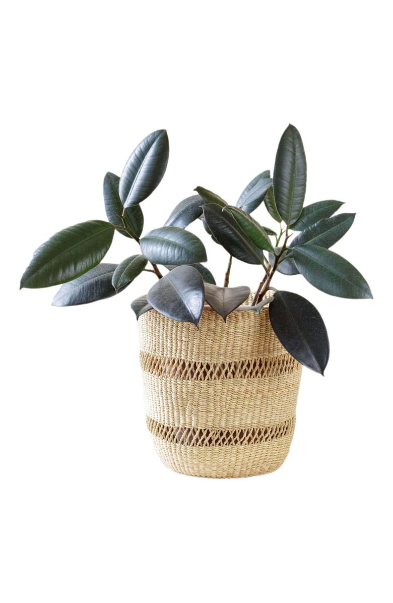 indego africa Bolga Planter, Main, color, Natural