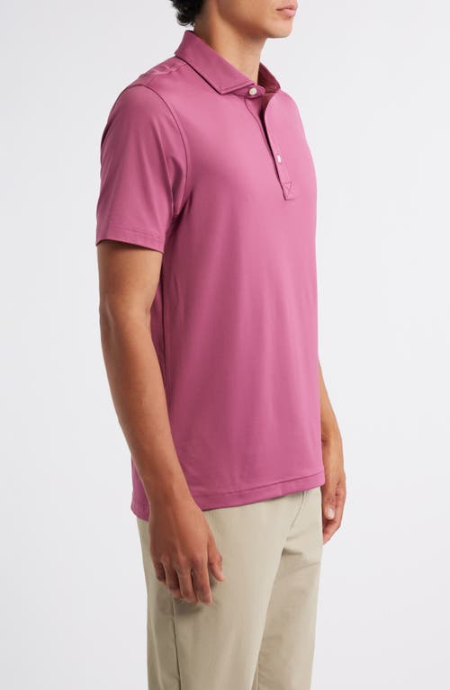 Brooks Brothers Solid Performance Series Polo In Pink