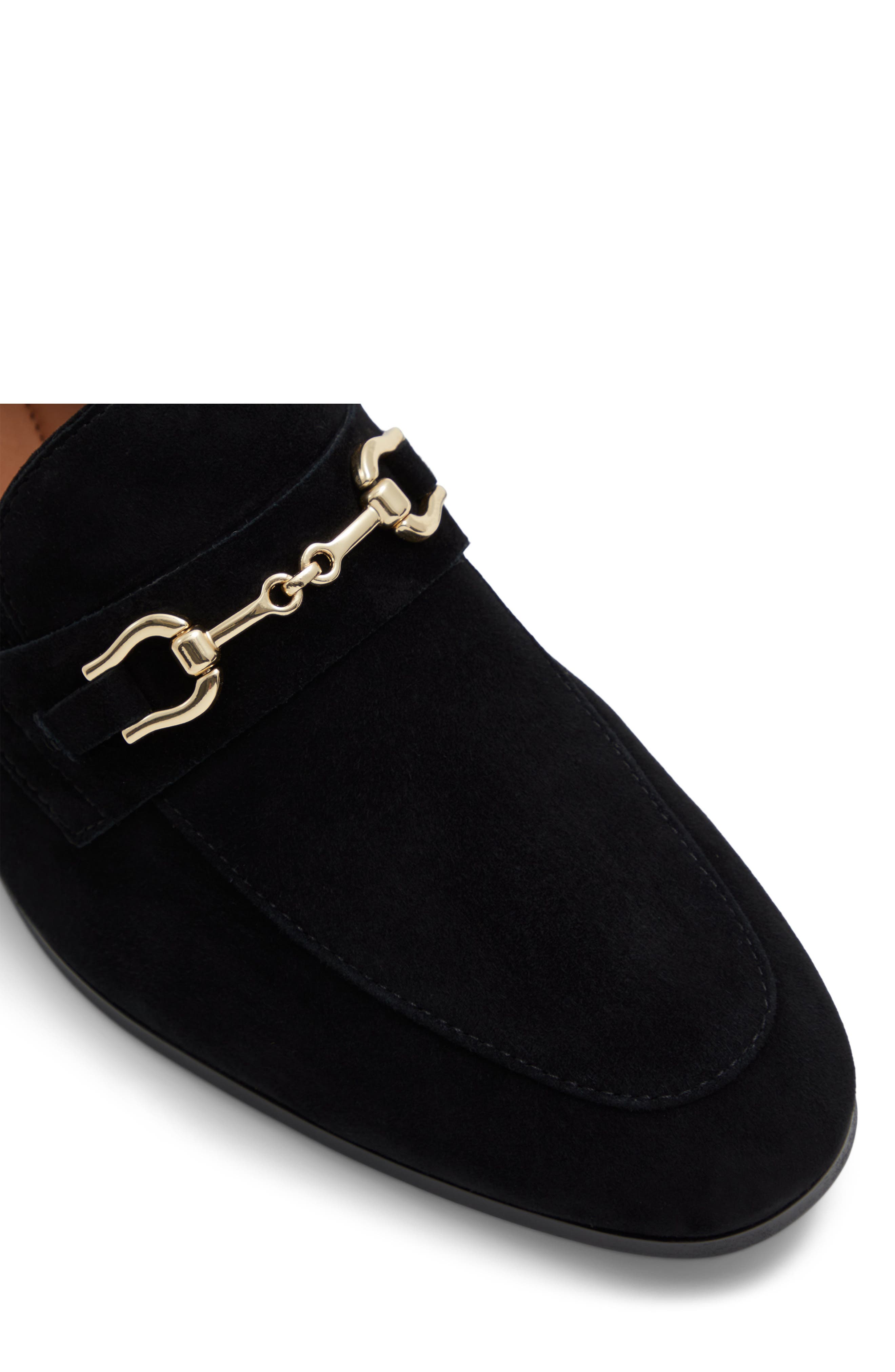 ALDO Marinho Bit Loafer, Alternate, color, 