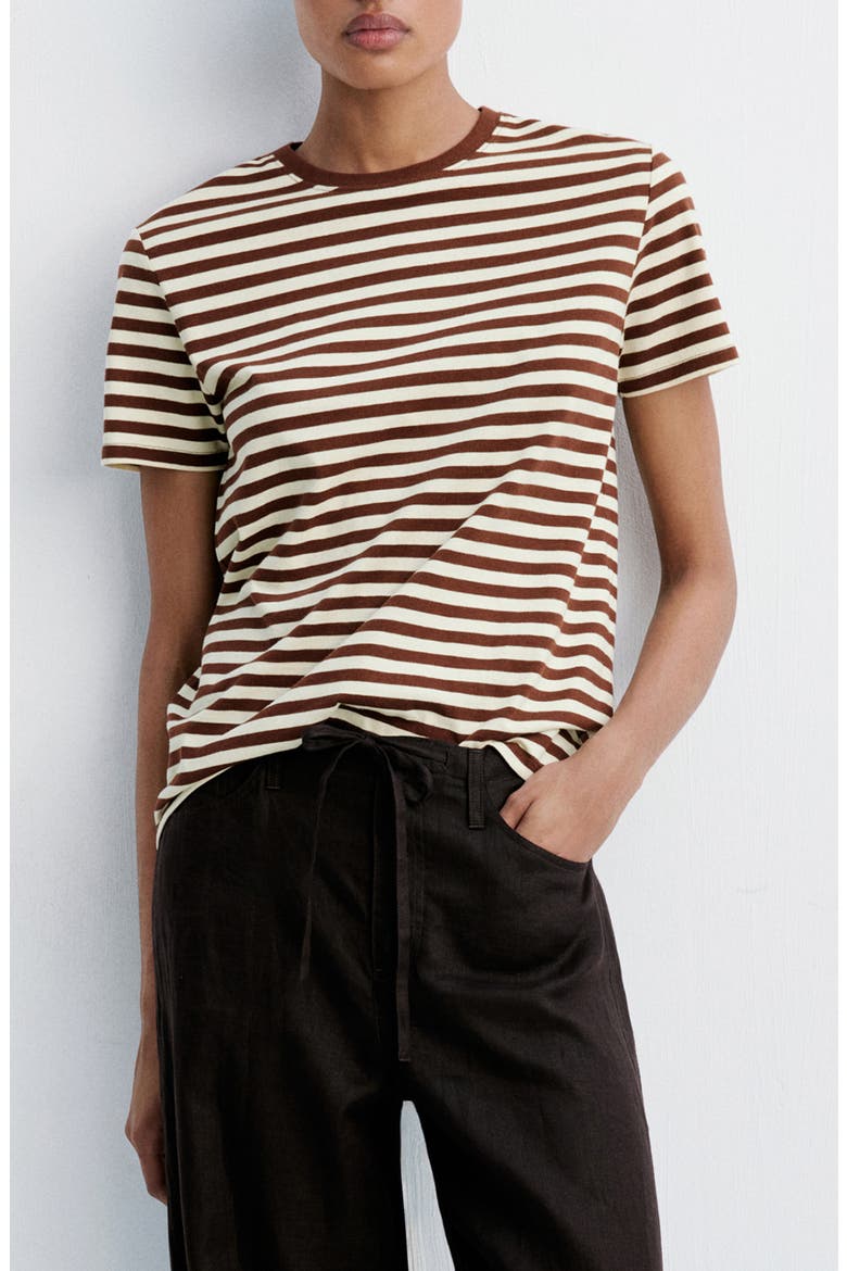 Stripe Cotton T-Shirt, Main, color, BROWN