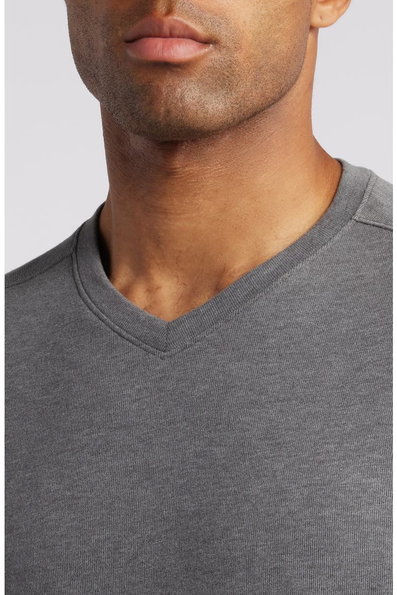 V-Neck T-Shirt, Alternate, color, GRAY