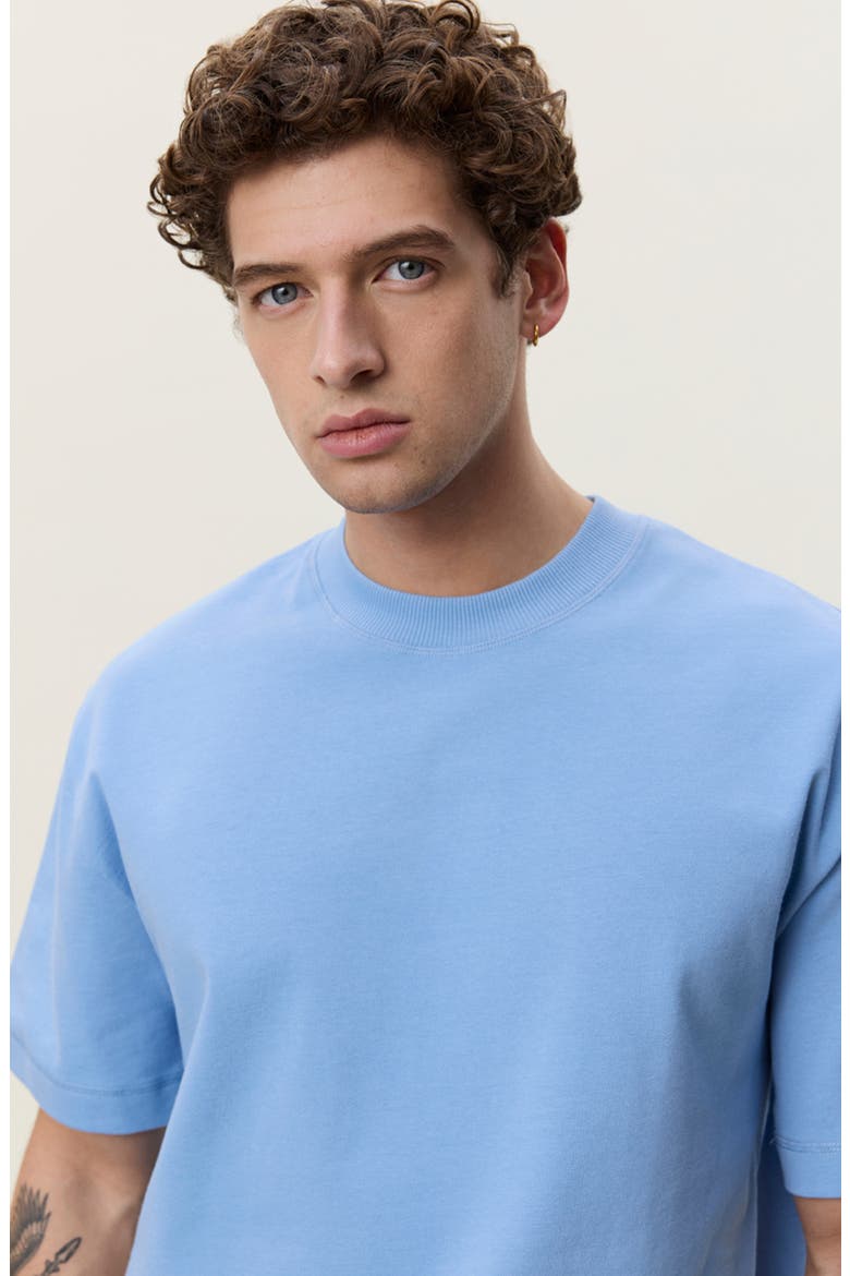 Heavyweight T-Shirt, Alternate, color, ALLURE