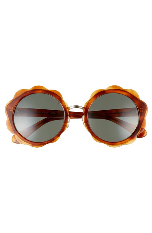 Kate Spade Karries 52mm Round Sunglasses - Brown In Brown