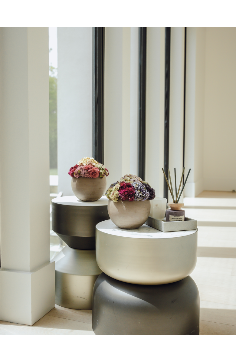 CocoBella Elias Sedum Arrangement, Alternate, color, Lavender Mélange