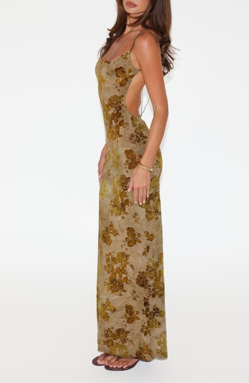 Tiger Mist Sparrow Floral Velvet Burnout Maxi Dress In Brown