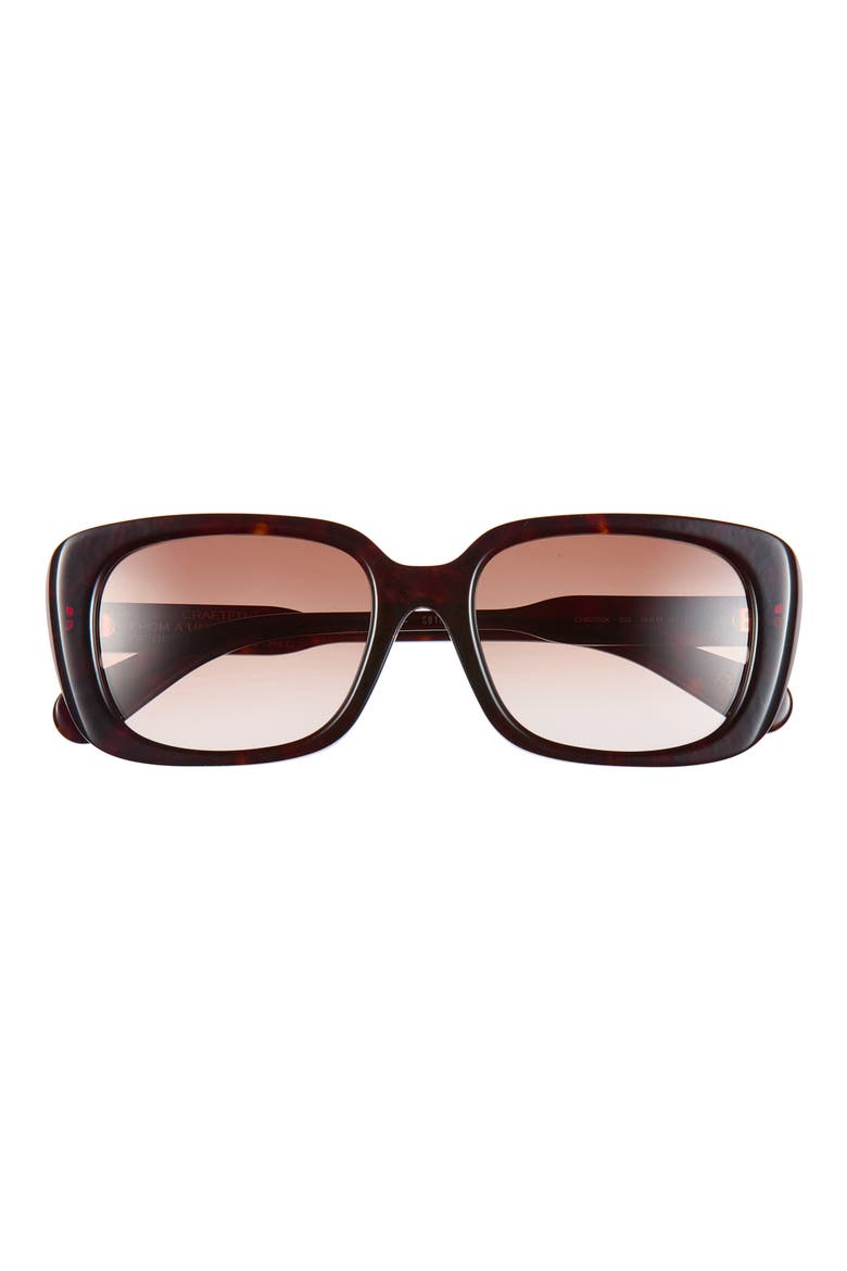 55mm Square Sunglasses, Main, color, HAVANA HAVANA BROWN