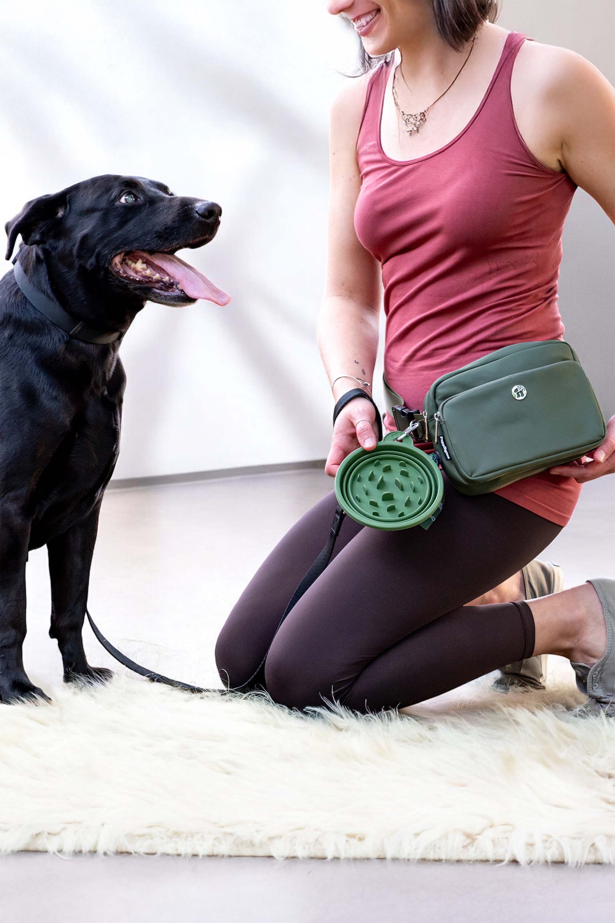 3-in-1 Dog Walking Bag with Waste Bags plus Travel Bowl and Reflective Leash, Alternate, color, Onyx Black