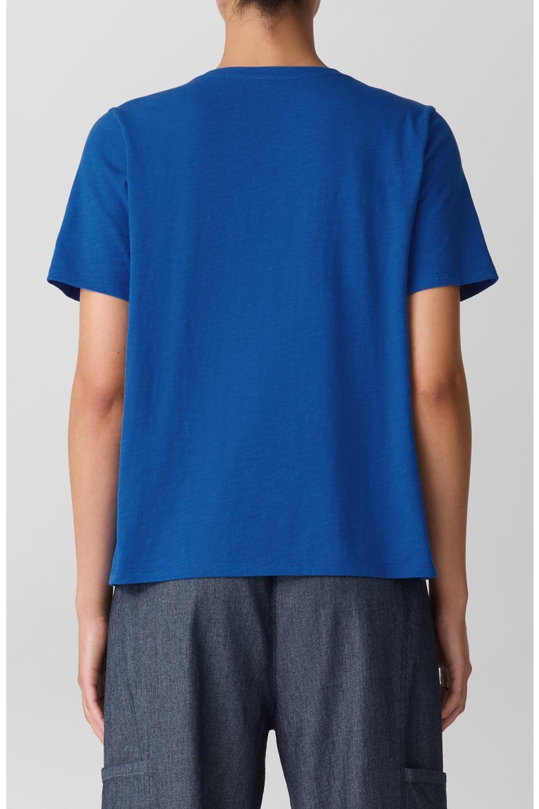 Easy V-Neck Organic Cotton T-Shirt, Alternate, color, BLUEBIRD