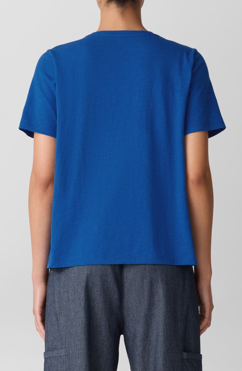 Eileen Fisher Easy V-Neck Organic Cotton T-Shirt, Alternate, color, Bluebird