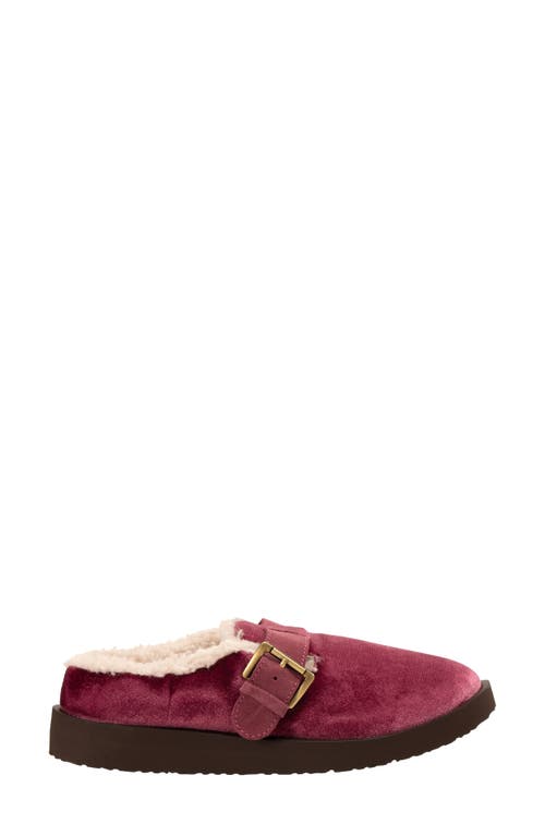 Revitalign Gift Velvet Faux Shearling Lined Slipper In Burgundy