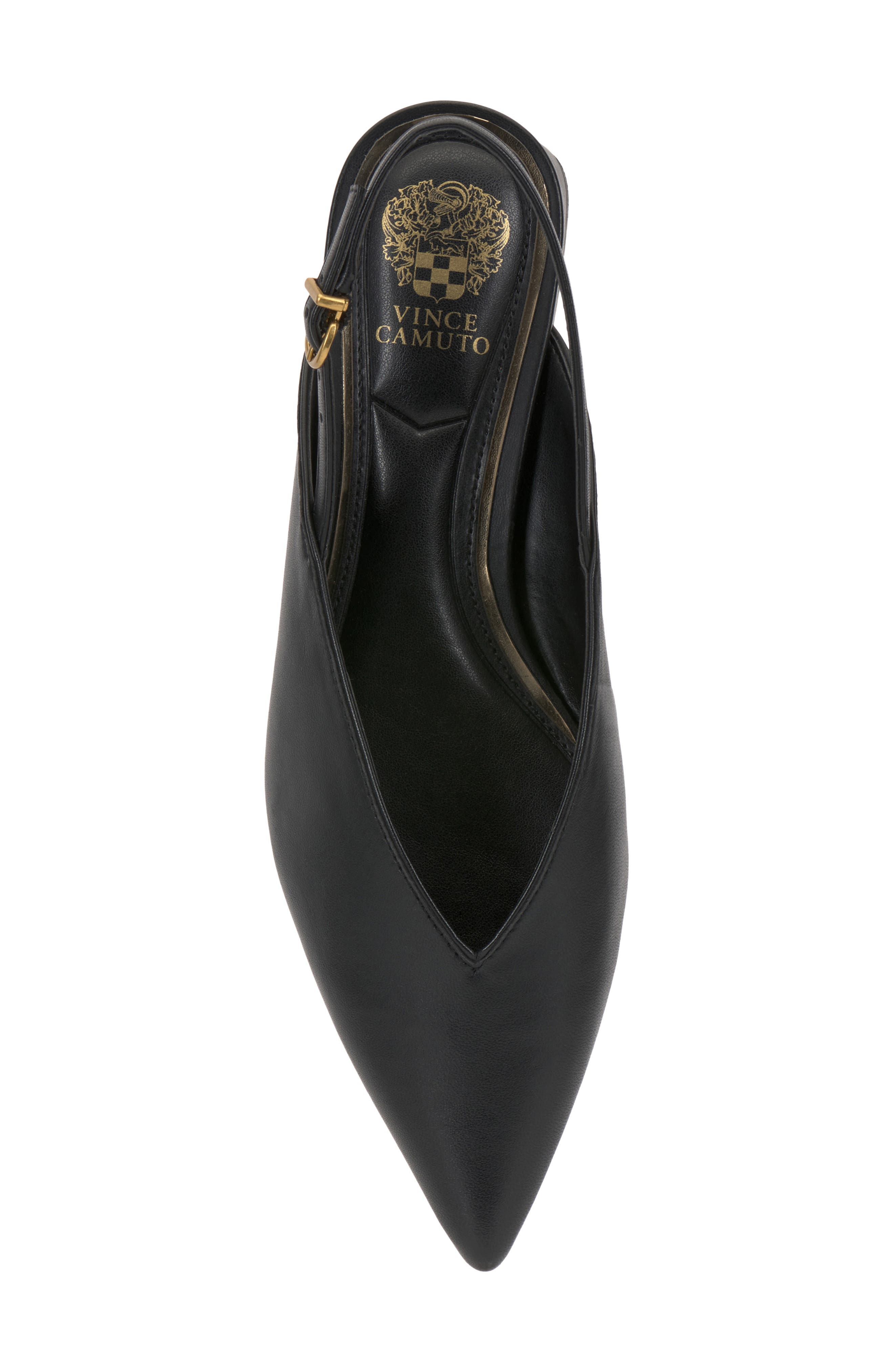 Venba Pointed Toe Slingback Flat, Alternate, color, BLACK LEATHER