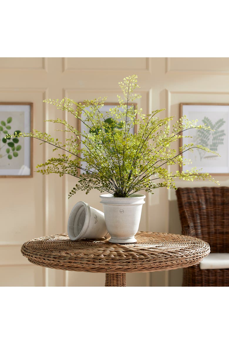 Maidenhair Drop-In 30", Alternate, color, Green