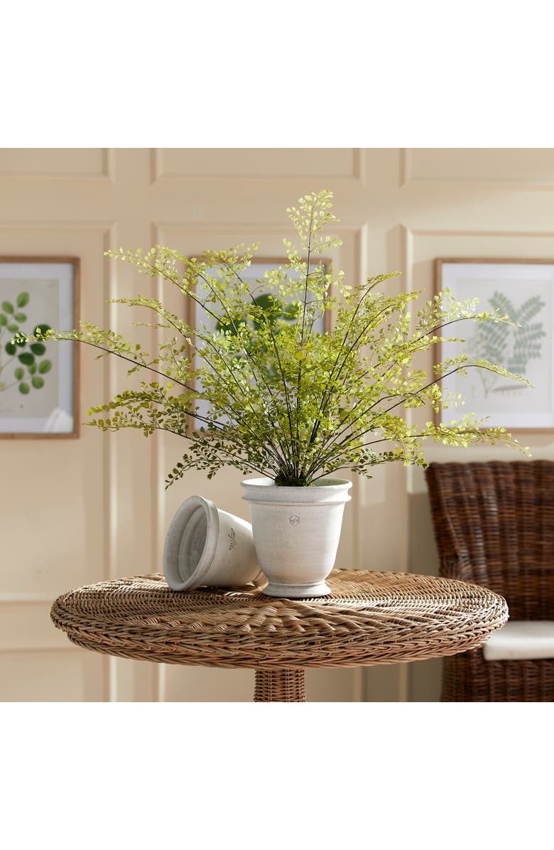 Napa Home & Garden Maidenhair Drop-In 30", Alternate, color, Green