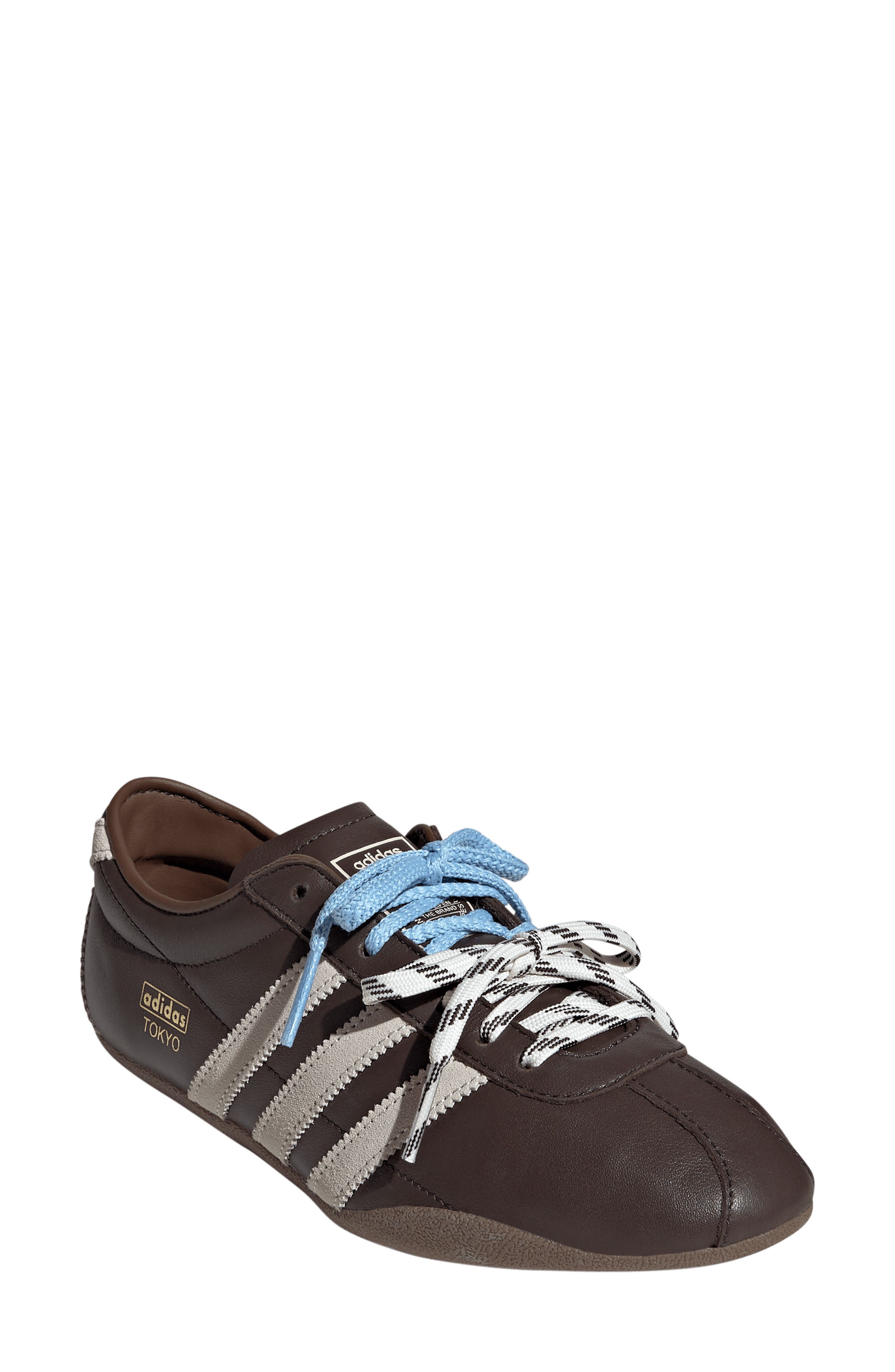 BROWN/ CLEAR BROWN/ GUM5