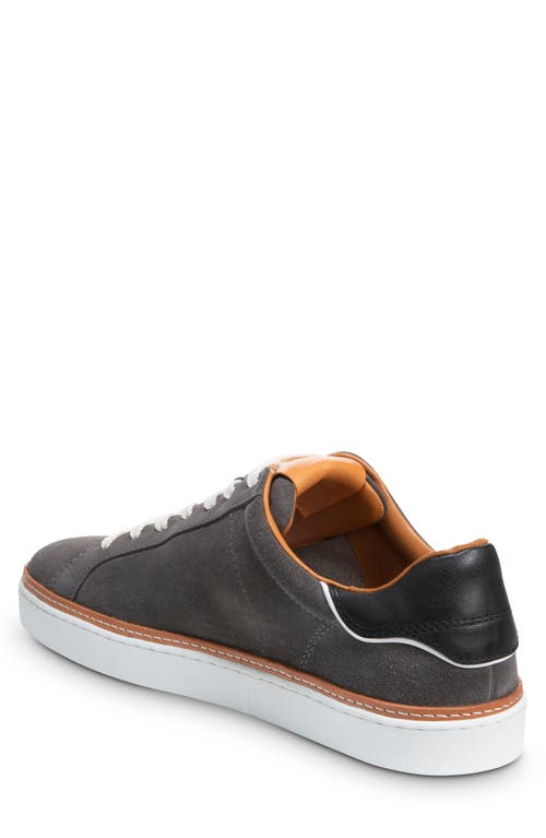 Allen Edmonds Alpha Sneaker In Magnet