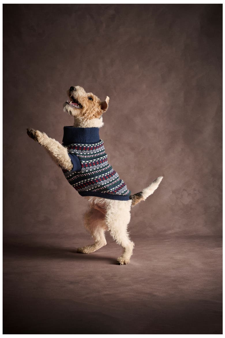 Marlow Fair Isle Dog Sweater, Alternate, color, NAVY FESTIVE