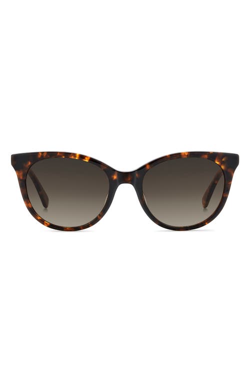 Kate Spade New York Karlee 53mm Gradient Round Sunglasses