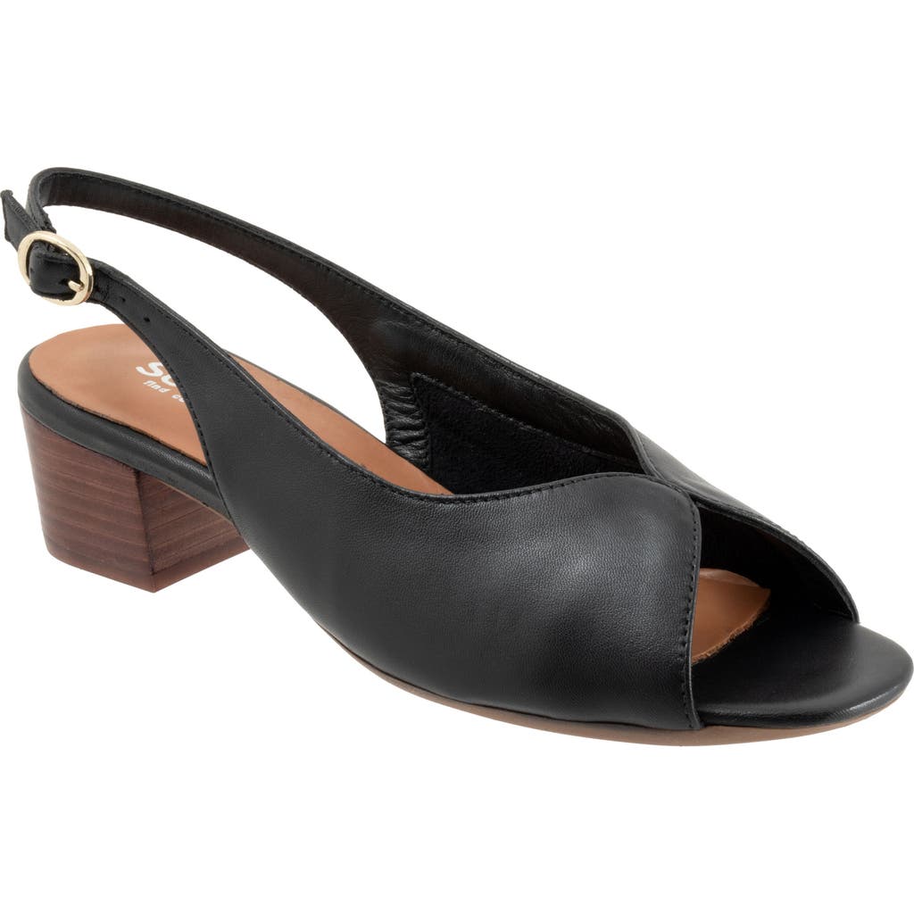 Softwalk ® Lakewood Slingback Sandal In Black