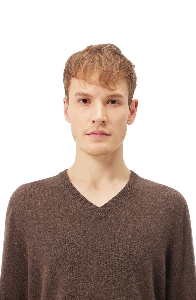 GOBI Mongolian Cashmere Essential V-Neck Cashmere Sweater, Alternate, color, Cocoa