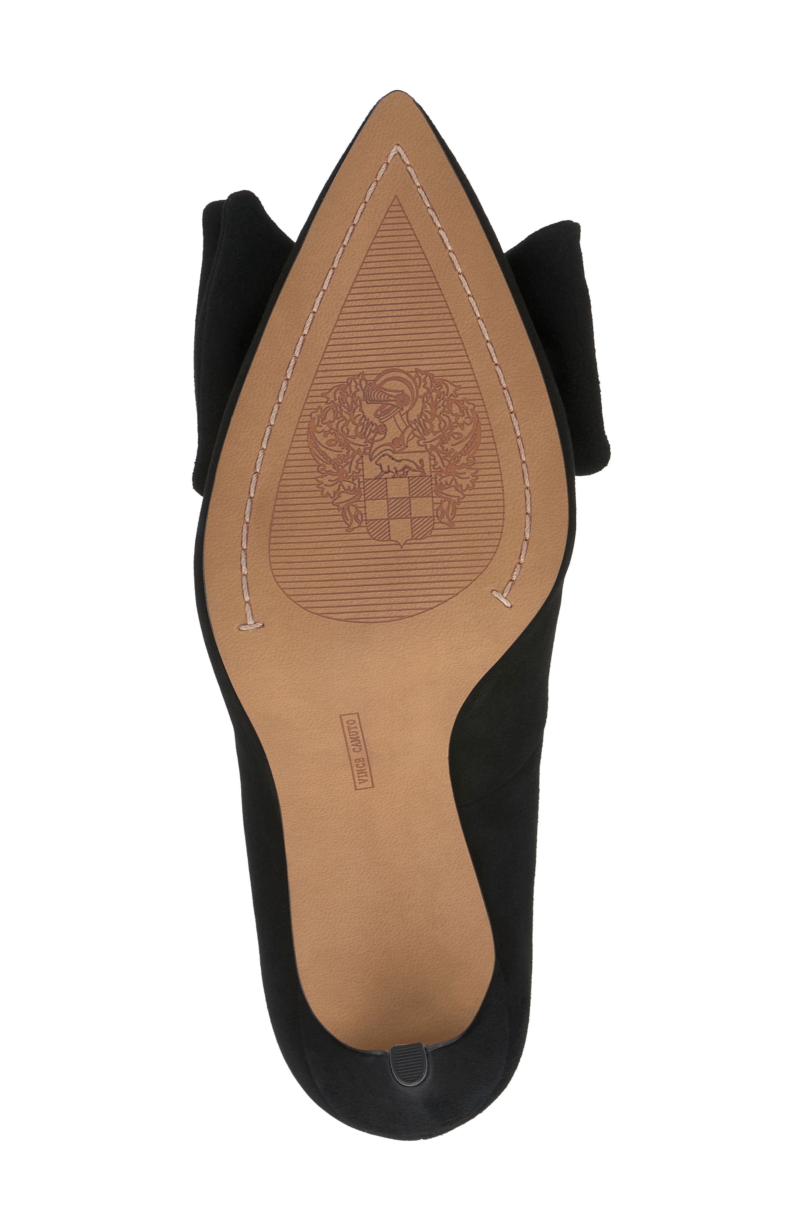 Vince Camuto Haylez Pointed Toe Pump, Alternate, color, Black