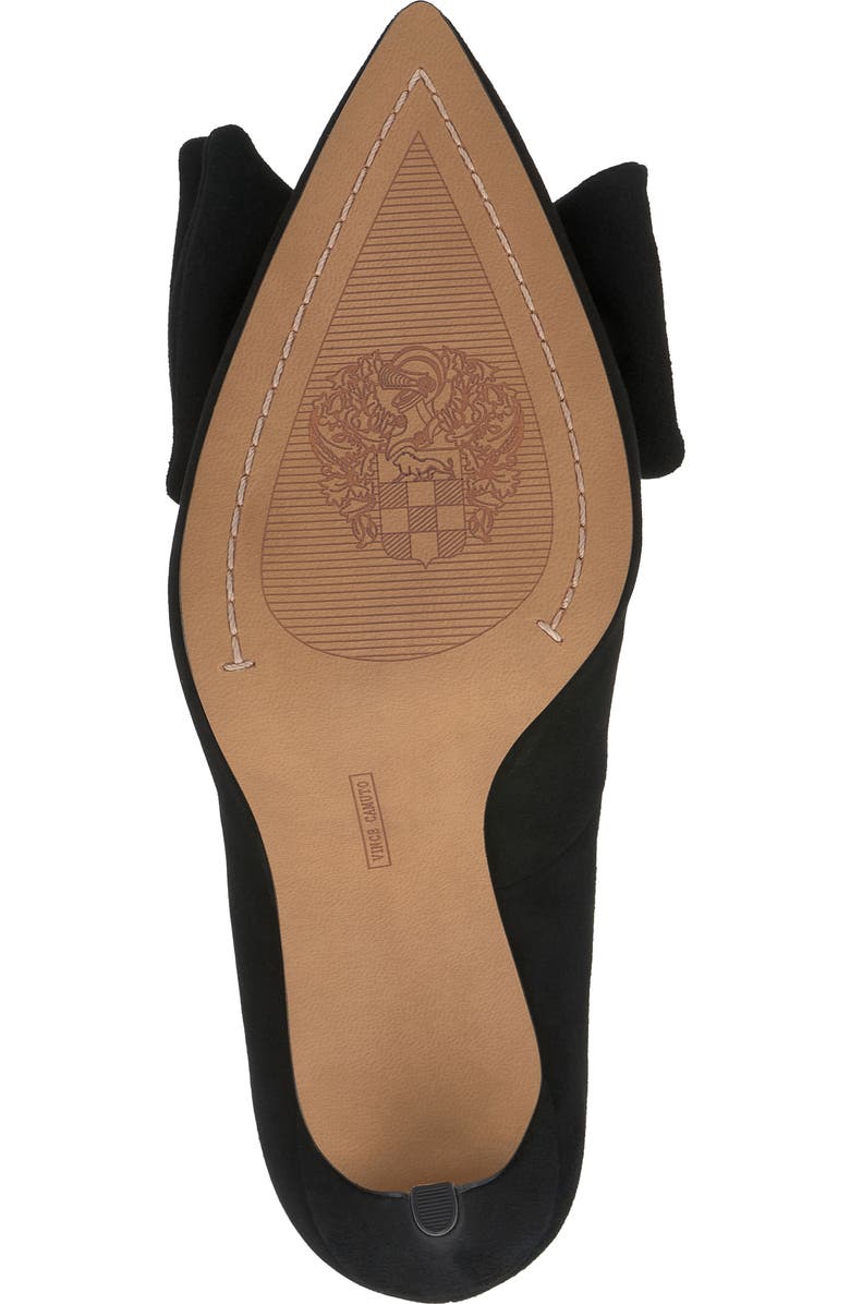 Vince Camuto Haylez Pointed Toe Pump, Alternate, color, Black