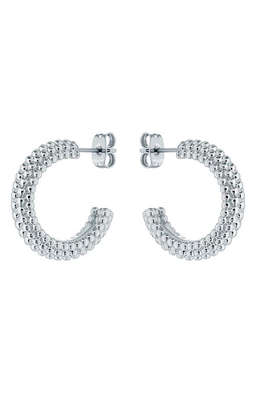 Ted Baker Dotetta Hoop Earrings In Silver Tone