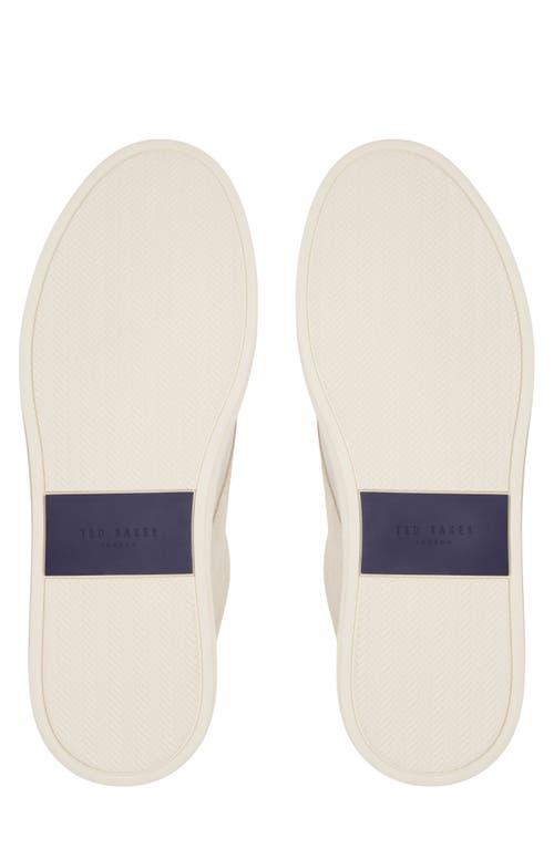 Ted Baker Brentford Sneaker In Bone