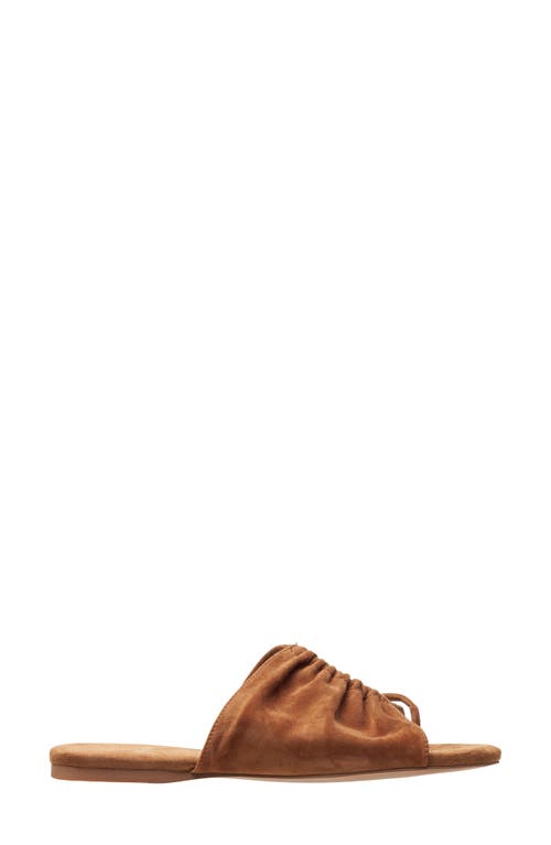 Linea Paolo Lane Toe Loop Sandal In Nutmeg