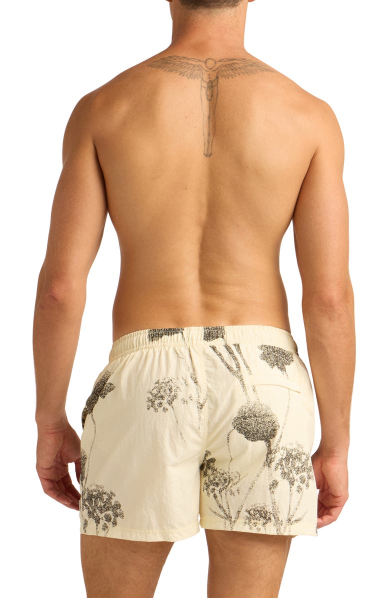 AUTO-REPLY<sup>™</sup> Print 4-Inch Nylon Swim Trunks, Alternate, color, Beach Brush/Natural