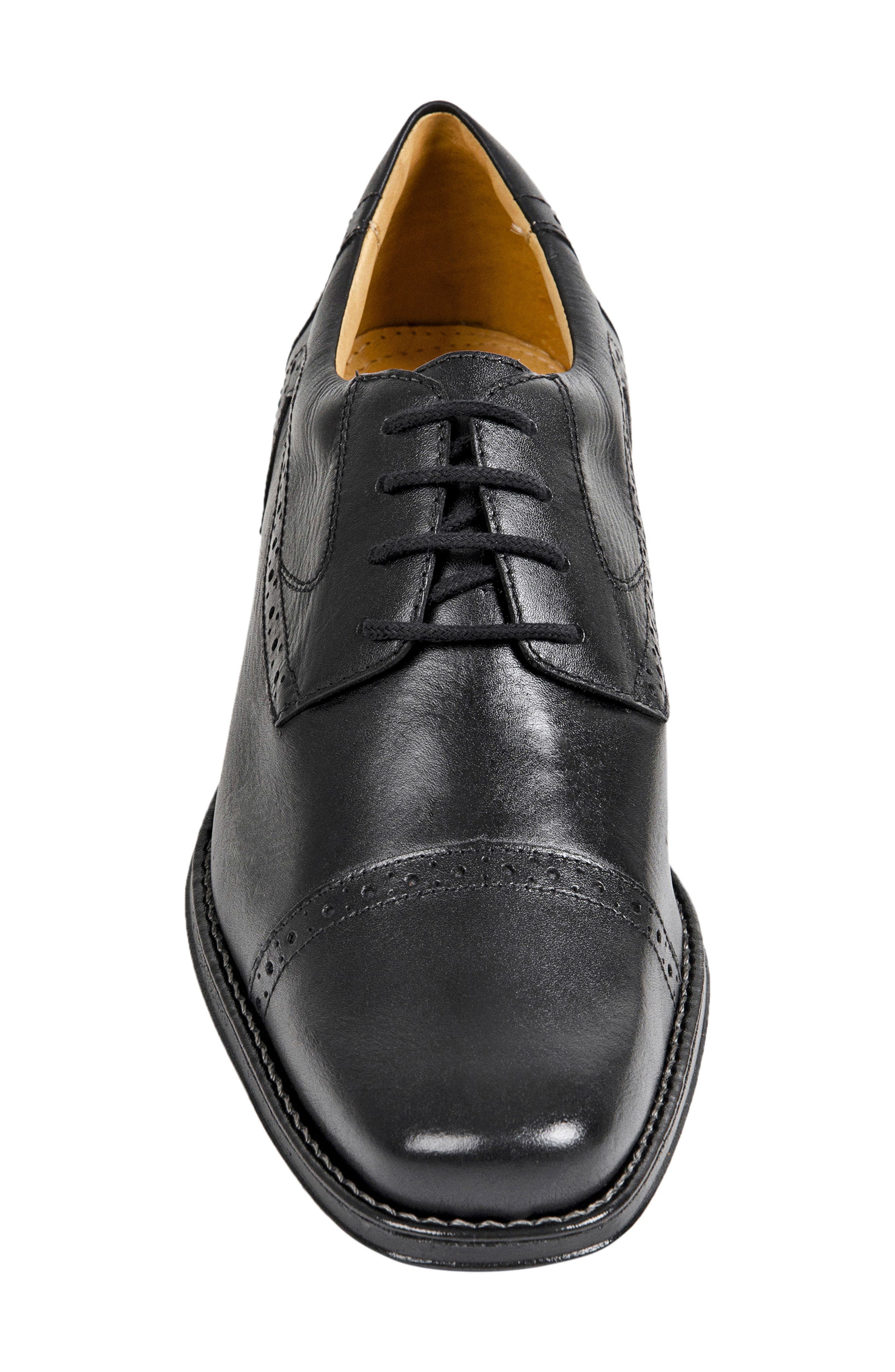 Sandro Moscoloni 'Bruce' Oxford, Alternate, color, 