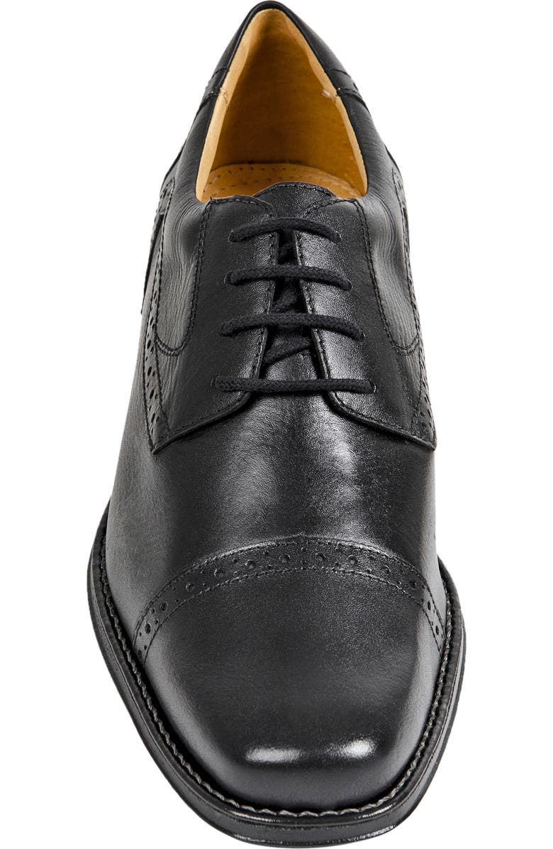 Sandro Moscoloni 'Bruce' Oxford, Alternate, color,