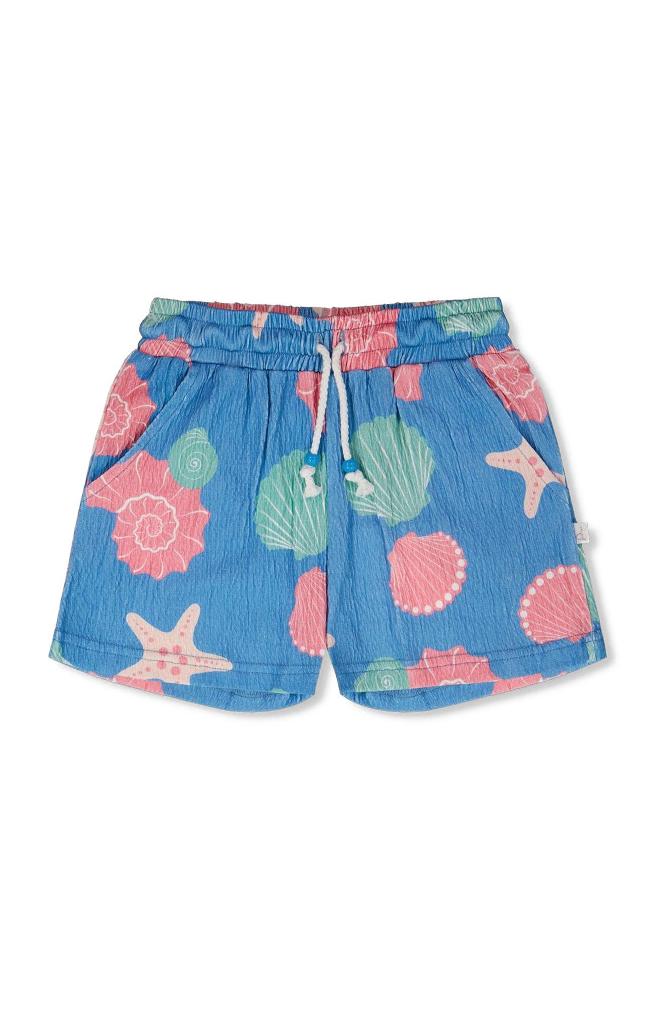 selected Blue Seashell Print