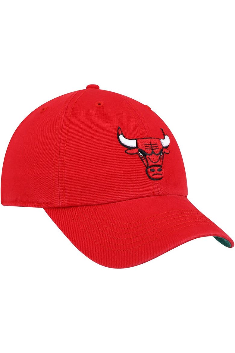 Men's '47 Red Chicago Bulls Franchise Fitted Hat, Alternate, color, Red